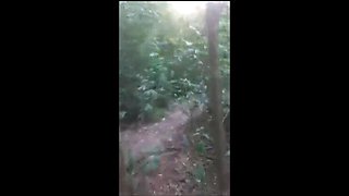 Blonde Sucked Off in the Forest and Takes a Big Load