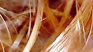 Pregnant redhead wife sucks cock and spreads her ass for the camera