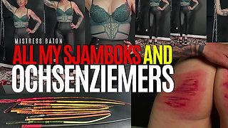 All My Sjamboks & Ochsenziemers