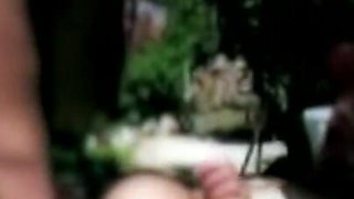 Trailer347