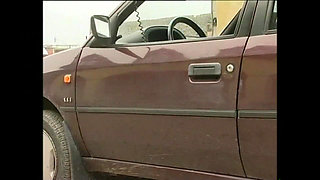 The Favorite StepNiece