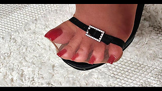 Pantyhose Feet & Mules Schoes