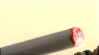 Brooke Lee And Charley Attwell Are Lesbian And Glamorous