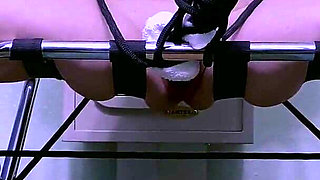 House Keeping Featuring Stephie Starr