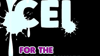 AUDIO ONLY - CEI for the true beginner