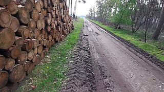 Get All Naked and Let Me Punish Your Tits