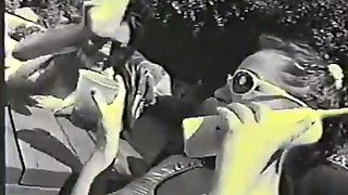 Ultimate Pool Orgy 1: Blowjob, Doggy  Licking Porn