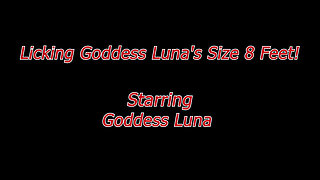 Licking Goddess Luna's Size 8 Feet!