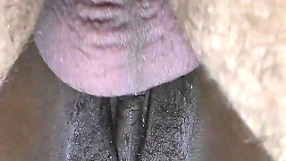 Big White Cock Cum Inside Ebony Tight Cunt in Doggystyle