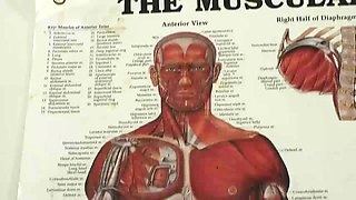 Coxxx ft. Megan Coxxx: Blowjob, Doggy  Cowgirl Porn