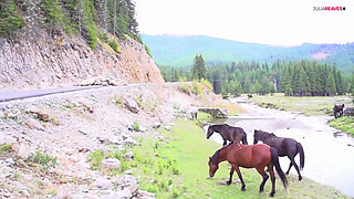 Fucking in the forest in the green nature makes my cunt wet