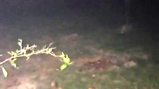 Warming up My Pregnant Slave with My Delicious Piss on the Farm