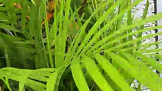 Mypervyfamily - Sneak Peek with Jennifer White & Tony Rubino