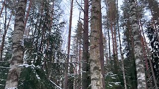 Sizzling ass fucking lovemaking after a walk in the woods.