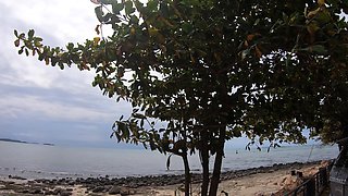 Motobike ride for Thai GF and home sex
