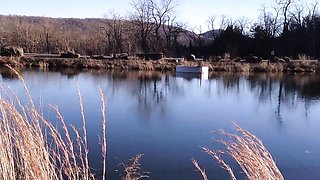 Don Whoe's ebony outside action by Yung Dumb Sluts