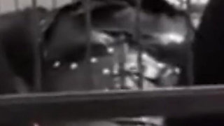 Iron Cage Breathing Control