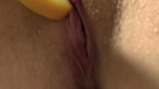 Pussy and Orange Slice