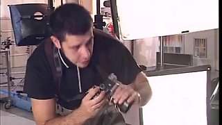 Kerstin Niemann ffm threesome: Blowjob, Doggy  Cowgirl Porn