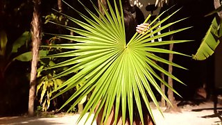 Hot latina teen posing naked in the pool