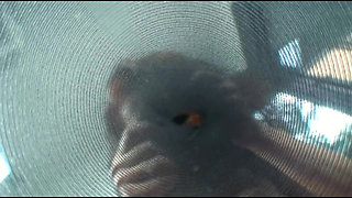 Trapped Inside My Sweaty Nylons