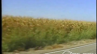 Roll in the Hay