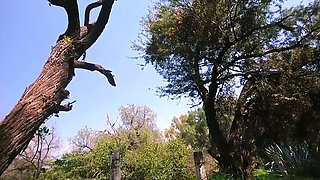 Amateur couple has sex outdoors. Showing off big ass in