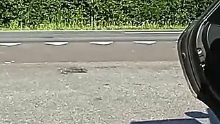 They Tease Drivers on the Highway