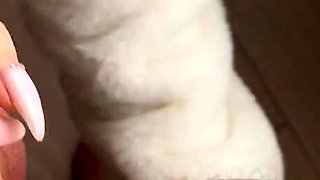 Blonde Babe Gives an Amazing Blowjob to a Big Cock