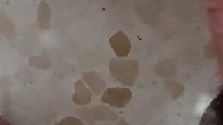 Compilation Blowjob Hot Latina College Student Sucking Dick