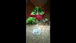 German MILF Sklavenhurekreiskleve Piss Slut Compilation - Big Ass BBW Outdoor Pissing HD