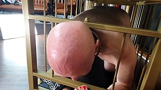 Femdom fetish bitches use bdsm