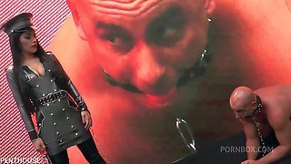 The Pussy Experience - Episode 1