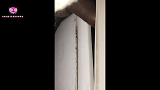 I jerked off on my stepmom's jewelry, it was so much fun