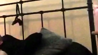 Skinny Escort Sucks Daddy Off