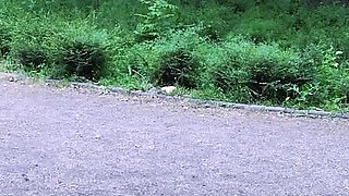 Wild Hardcore: Blonde Rides Cock to Intense Orgasm