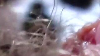 Hairy pussy is not an obstacle to clit play