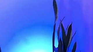 I Want to Be Fucked by You and Have Your Penis up My Ass