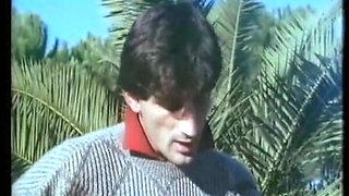 The College for Forbidden Pleasures - 1987