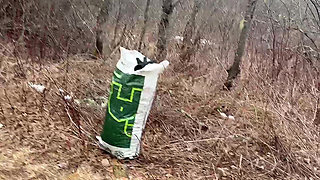 Pee Sexy on the Forest so Cool