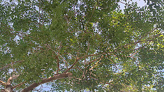 Paradise Fucking with the Best View in the World with the Man I Love Most for Life.