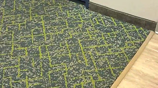 Naughty Elevator Ride Will She Get Caught?