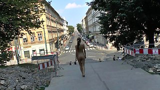 Brunette Flashing Her Titties And Pussy Outdoors In Public