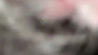 Lil Mary Nasty Maid Vs Dat Cat N Da Hat Reamed, Gaped & Creamed