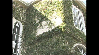 Girls Are Looking for a Man to Play with