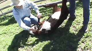 Wild Wyoming Town Vacation