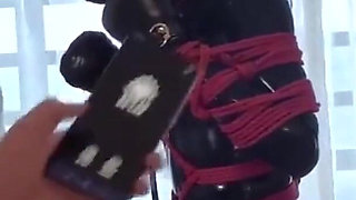 Mz15 - a Puppy Wearing a Latex Suit and Bound by a Red Rope.