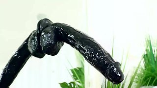 cock hunger makes her crawl