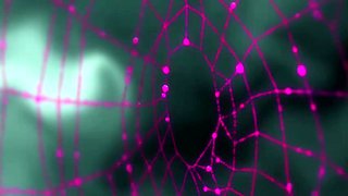 Unseen Illusion with Vision_22030402p0