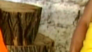 Golden Shower of Housewives